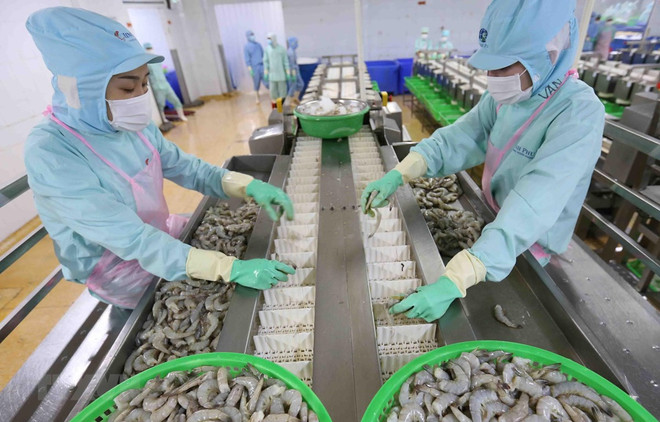Agro-forestry-fisheries exports reach over 26 billion USD in first eight months ảnh 1