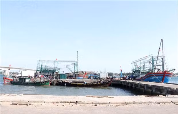 EC recognises Vietnam’s efforts to fight IUU, to conduct inspection in Q1, 2022 ảnh 1