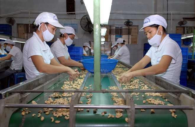Businesses anticipate opportunities to increase exports to RoK ảnh 1