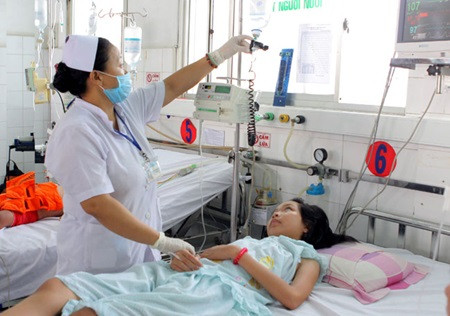 Vietnamese spend millions on dengue fever treatments ảnh 1 Vietnamese spend millions on dengue fever treatments ảnh 1