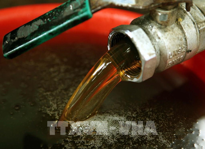 Honey exports face US anti-dumping probe ảnh 1