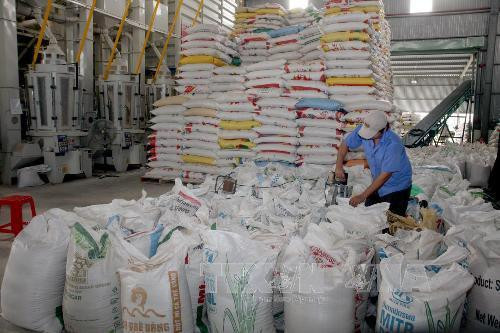 Rice exporters urged to utilise FTAs to boost declining shipments ảnh 1