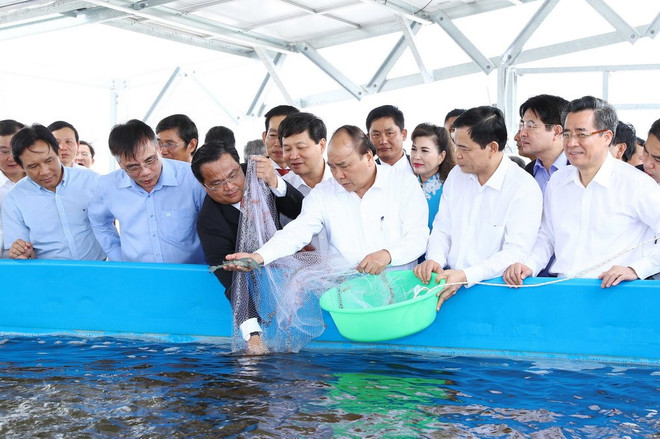 High-tech shrimp farming area constructed in Bac Lieu province ảnh 1 High-tech shrimp farming area constructed in Bac Lieu province ảnh 1