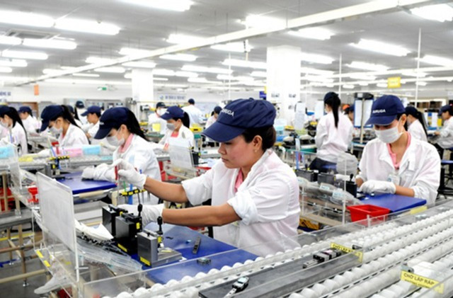 Vietnam’s shadow economy sparks debate ảnh 1