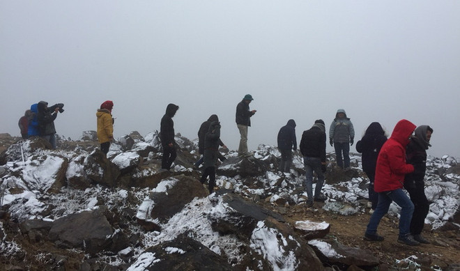Lao Cai: Sa Pa forests covered by snow ảnh 1