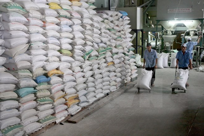 Vietnam shifts towards high-quality rice export ảnh 1