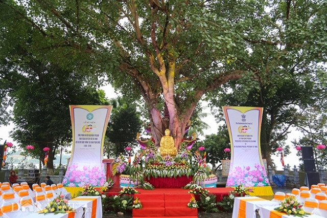 Ceremony marks 60th anniversary of Indian Bodhi tree gifted to Vietnam ảnh 1