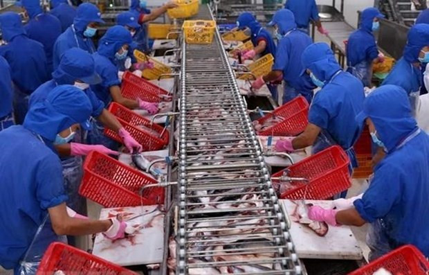 Vietnam’s tra fish exports to reach 2.3 billion USD in 2019 ảnh 1