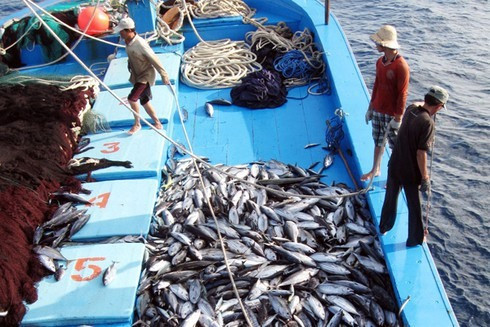 EC recognises Vietnam's improvements in combating IUU fishing ảnh 1 EC recognises Vietnam's improvements in combating IUU fishing ảnh 1
