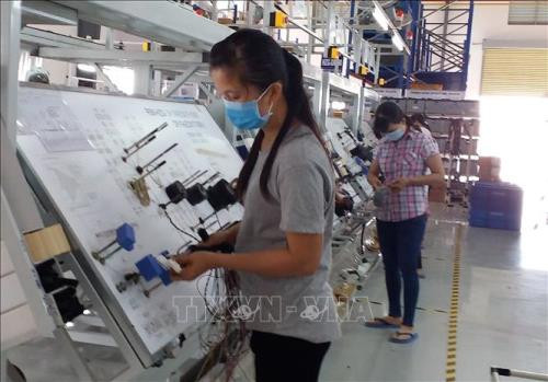 RoK tops foreign investors in Vietnam in 2019 ảnh 1 RoK tops foreign investors in Vietnam in 2019 ảnh 1