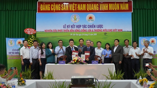 Company, research institute to develop new rice varieties ảnh 1 Company, research institute to develop new rice varieties ảnh 1