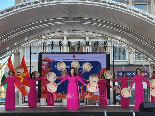 Vietnamese Culture Day takes place in Hungary ảnh 1
