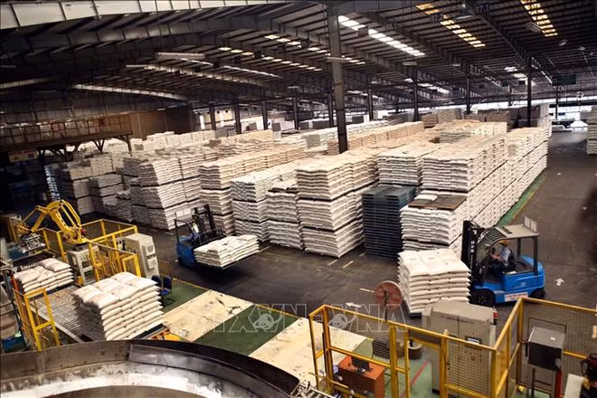 Binh Duong posts 6.8 billion USD in trade surplus ảnh 1