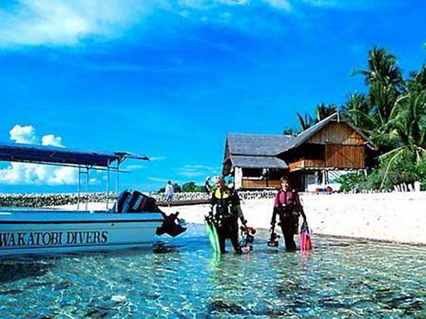  Indonesia to develop 10 new tourist attractions ảnh 1