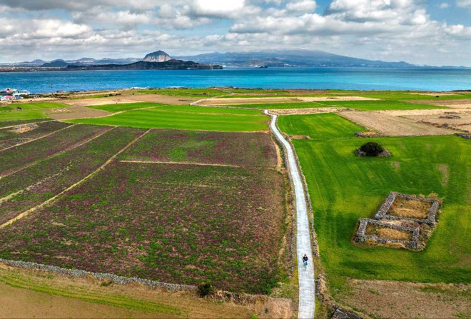 Jeju island of RoK to be introduced in Quang Ninh ảnh 1