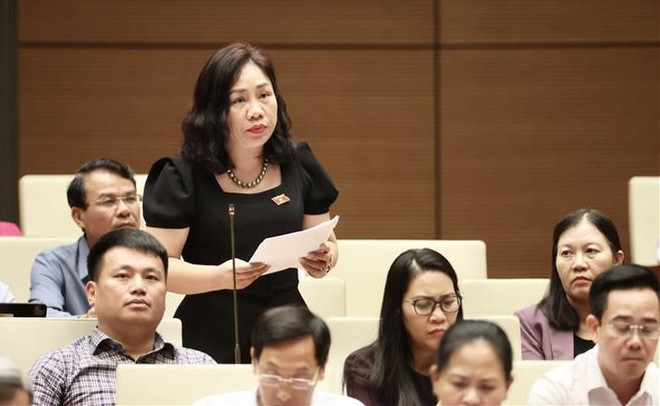 Land use planning, land valuation focus of NA debate on draft revised Land Law ảnh 1