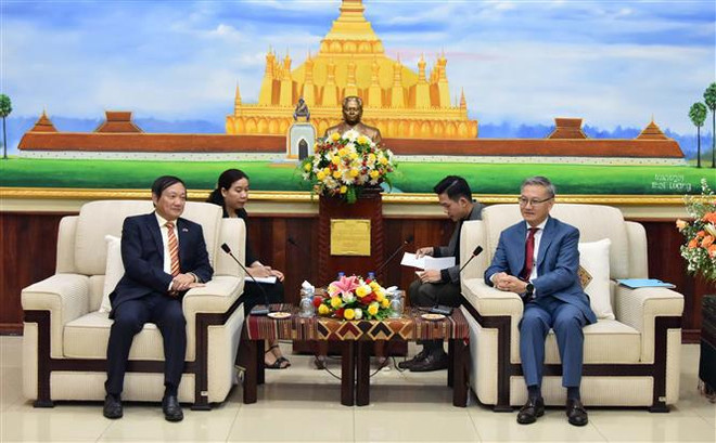 Vietnam values contributions of Lao Party’s external relations commission to bilateral ties ảnh 1
