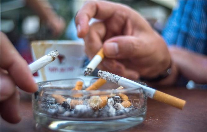 Workshop seeks measures to minimise tobacco use ảnh 1