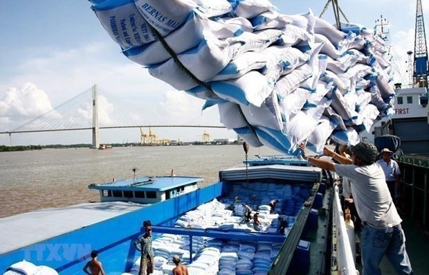 Vietnam’s rice export to hit 7 million tonnes this year ảnh 1