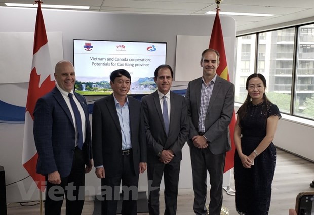 Cao Bang seeks cooperation opportunities in Canada ảnh 1