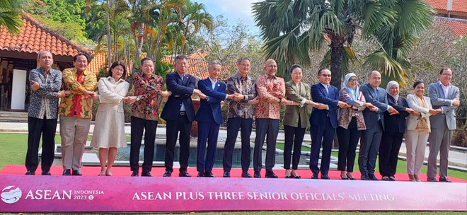 Vietnam attends ASEAN senior officials’ meetings in Indonesia ảnh 1