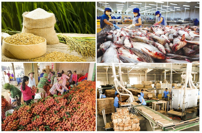 Agro-forestry-aquatic product exports post trade surplus of nearly 6 billion USD ảnh 1