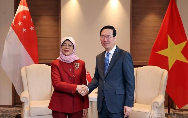 Vietnam, Singapore cherish growing 50-year ties ảnh 1 Vietnam, Singapore cherish growing 50-year ties ảnh 1