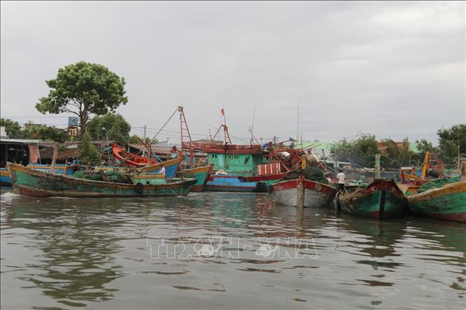 Tien Giang raises fishermen’s awareness about IUU fishing ảnh 1 Tien Giang raises fishermen’s awareness about IUU fishing ảnh 1