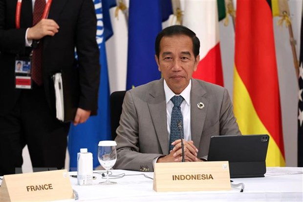 Indonesian President: ASEAN should become anchor of world peace ảnh 1