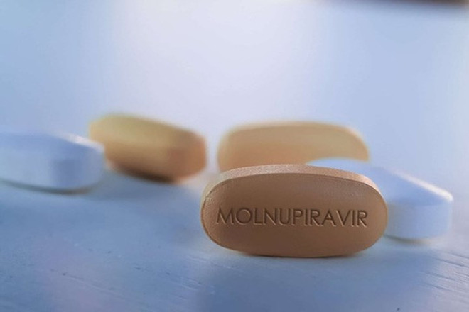 Medicines with molnupiravir for COVID-19 treatment proposed to be licensed ảnh 1