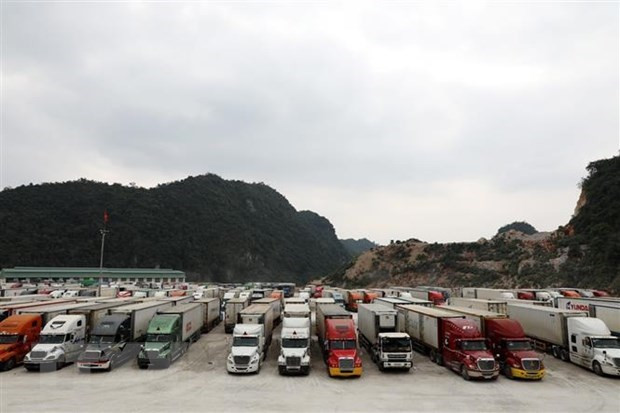 Deputy PM requests no congestion of trucks at border gates before lunar New Year ảnh 1