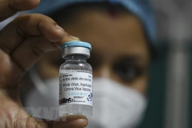 Ministry approves Indian Covaxin COVID-19 vaccine ảnh 1 Ministry approves Indian Covaxin COVID-19 vaccine ảnh 1