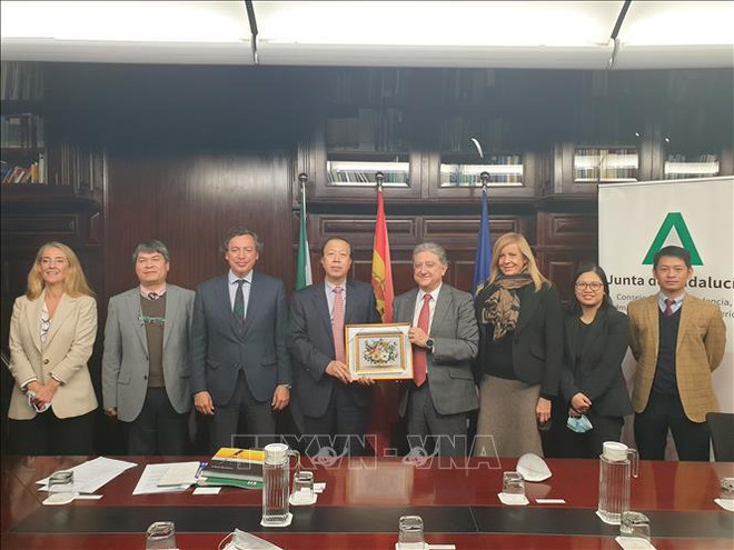 Vietnam-Spain ties stand good chance to thrive further: Ambassador ảnh 2 Vietnam-Spain ties stand good chance to thrive further: Ambassador ảnh 2