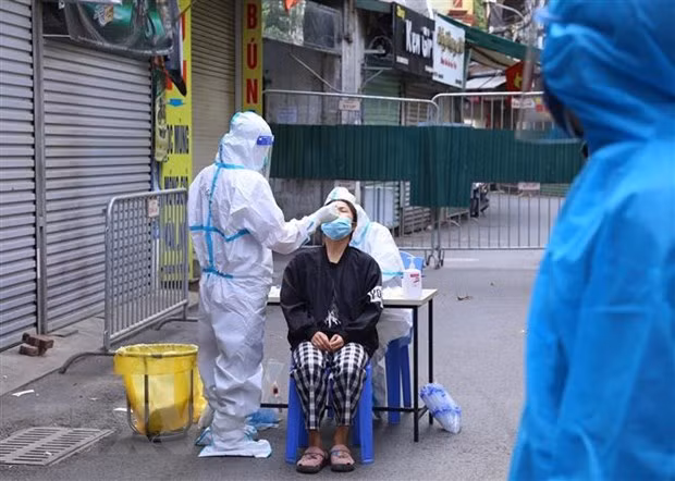 Vietnam records 8,176 new COVID-19 cases on November 14 ảnh 1