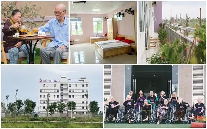 Nursing home market nascent in Vietnam: Savills ảnh 1