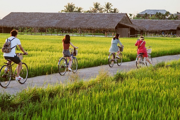 Agritourism to be added to new-style rural area building programme ảnh 1