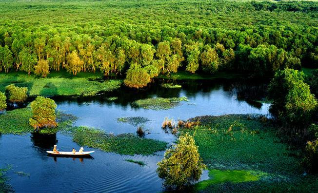 An Giang approves eco-tourism project in cajuput forest ảnh 2 An Giang approves eco-tourism project in cajuput forest ảnh 2