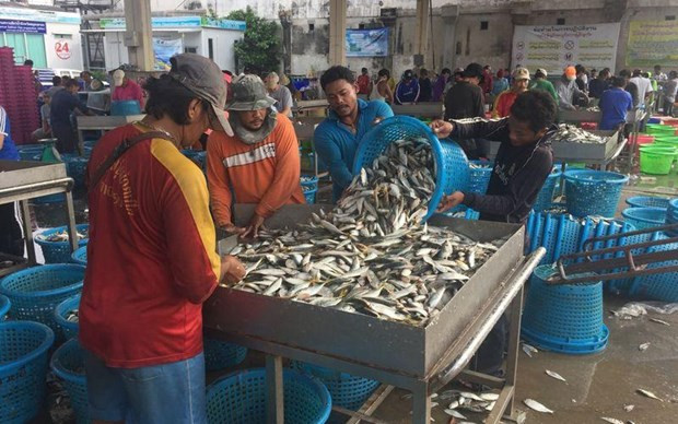 Thailand to vaccinate foreign workers against COVID-19 ảnh 1 Thailand to vaccinate foreign workers against COVID-19 ảnh 1