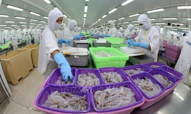 Shrimp industry strives to remain big foreign currency earner ảnh 1