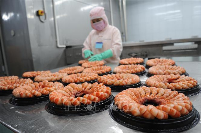Shrimp industry strives to remain big foreign currency earner ảnh 2