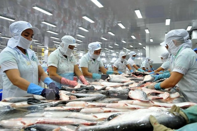 Brazil market offers big opportunities for Vietnamese tra fish ảnh 1