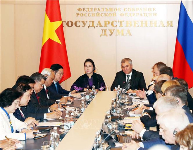 Vietnam, Russia hold first inter-parliamentary committee meeting ảnh 1