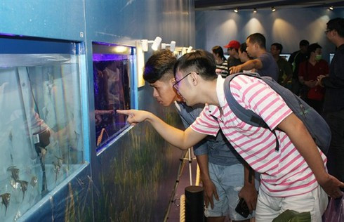 HCM City seeks to boost ornamental fish exports ảnh 1