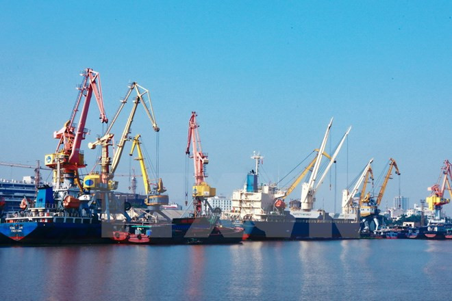 Ports busy with cargos and containers on first day of 2016 ảnh 1