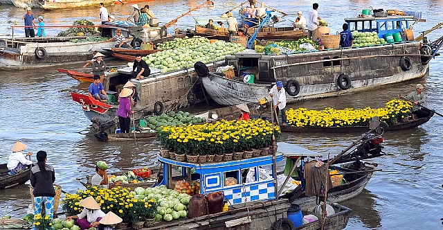 Mekong Delta city targets 5.6 million tourists in 2017 ảnh 1