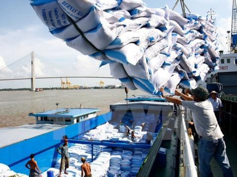 Cambodia exports 540,000 tonnes of rice in 2016 ảnh 1