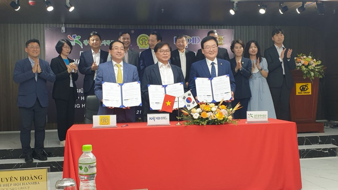 Vietnamese, RoK business associations cooperate in electronics, photonics ảnh 1