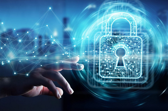 Conference reviews implementation of national cyber security and safety strategy ảnh 1