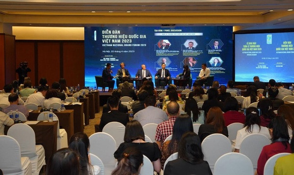 More national-branded firms join top 50 Vietnamese brands ảnh 2