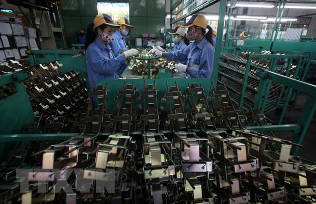 Support industries struggling with COVID-19 ảnh 1